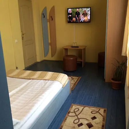 Guest house Pensiunea Casa Raul